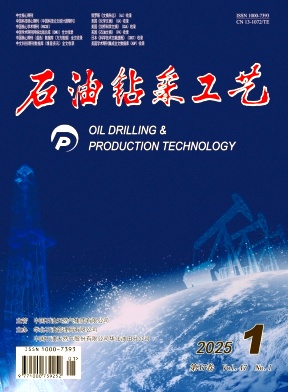 石油钻采工艺